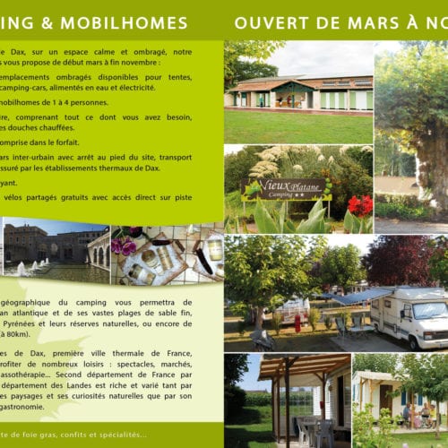 Plaquette-Le-vieux-platane-verso